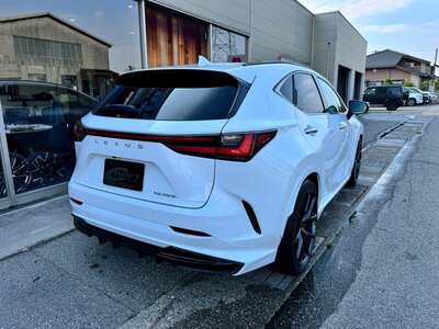 LEXUS NX - 6