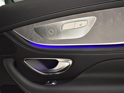 2019 Mercedes-BENZ CLS thumbnail 18