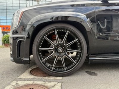 2014 Cadillac ESCALADE 缩略图 19