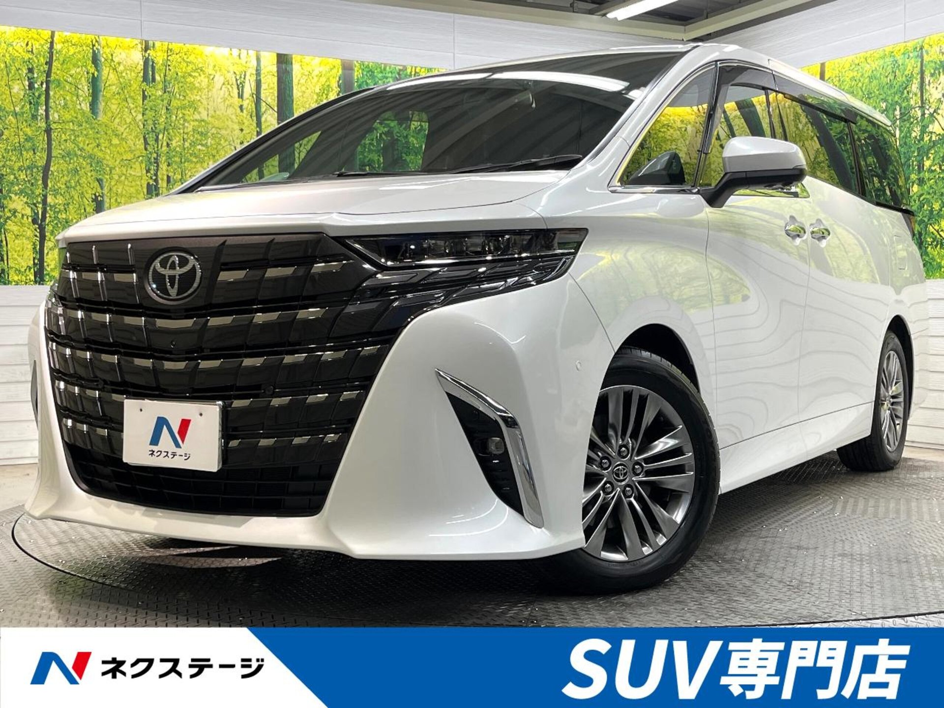 TOYOTA ALPHARD - View 1