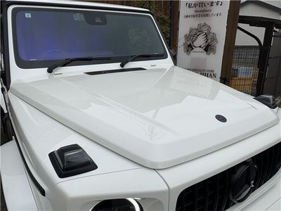 MERCEDES-BENZ G-CLASS - 5