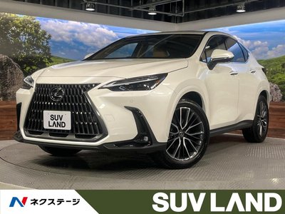 LEXUS NX - 1