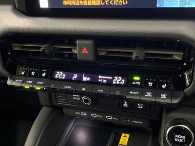 2024 Toyota LAND CRUISER 250 thumbnail 31