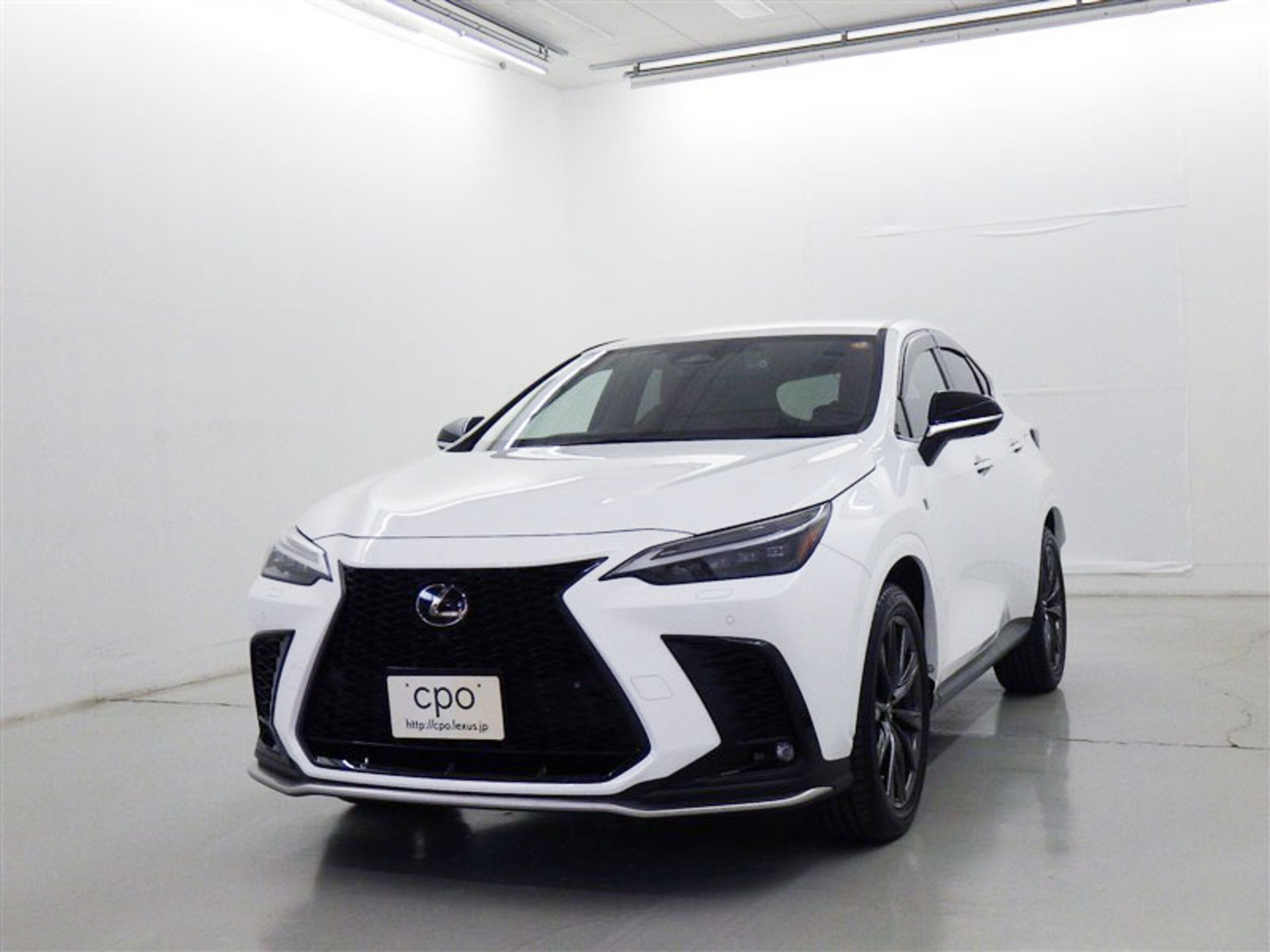 LEXUS NX - View 1