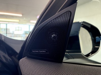 صورة مصغرة 32 لـ 2025 BMW X3