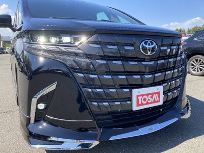 2025 TOYOTA ALPHARD — миниатюра 27