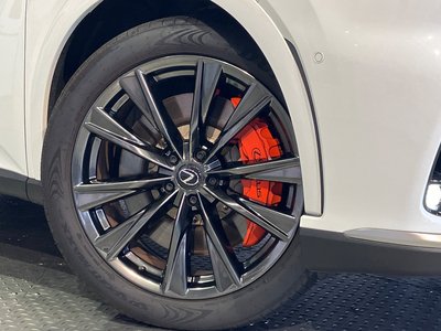 2025 Lexus RX photo 5