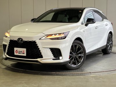 2025 Lexus RX — миниатюра 25