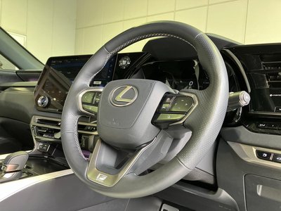 2025 Lexus RX — миниатюра 12