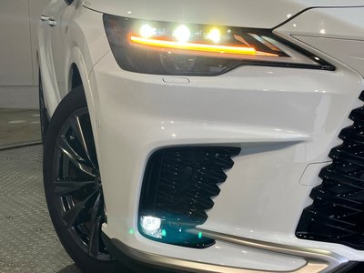 2025 Lexus RX photo 4
