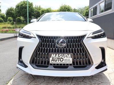 LEXUS NX - 1