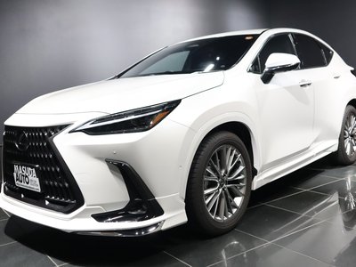 LEXUS NX - 2