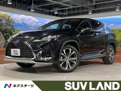 2020 Lexus RX photo 1