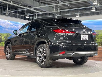 2020 Lexus RX thumbnail 31