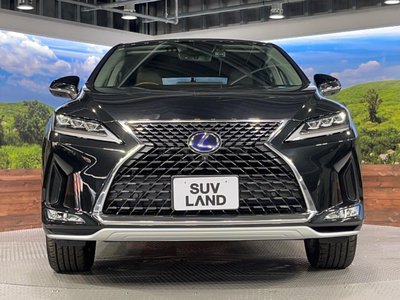 2020 Lexus RX thumbnail 16