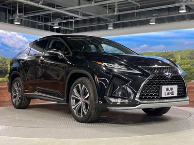 2020 Lexus RX thumbnail 18