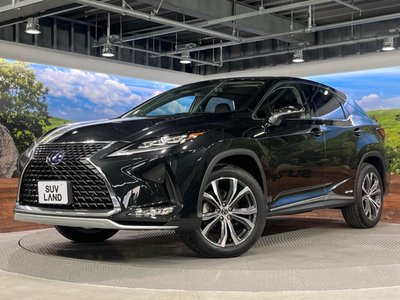 2020 Lexus RX thumbnail 24