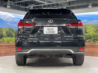 2020 Lexus RX thumbnail 17