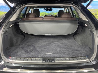 2020 Lexus RX thumbnail 12