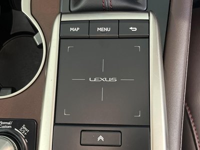 2020 Lexus RX thumbnail 53