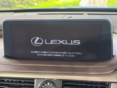 2020 Lexus RX photo 5