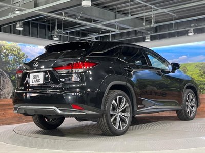 2020 Lexus RX thumbnail 19