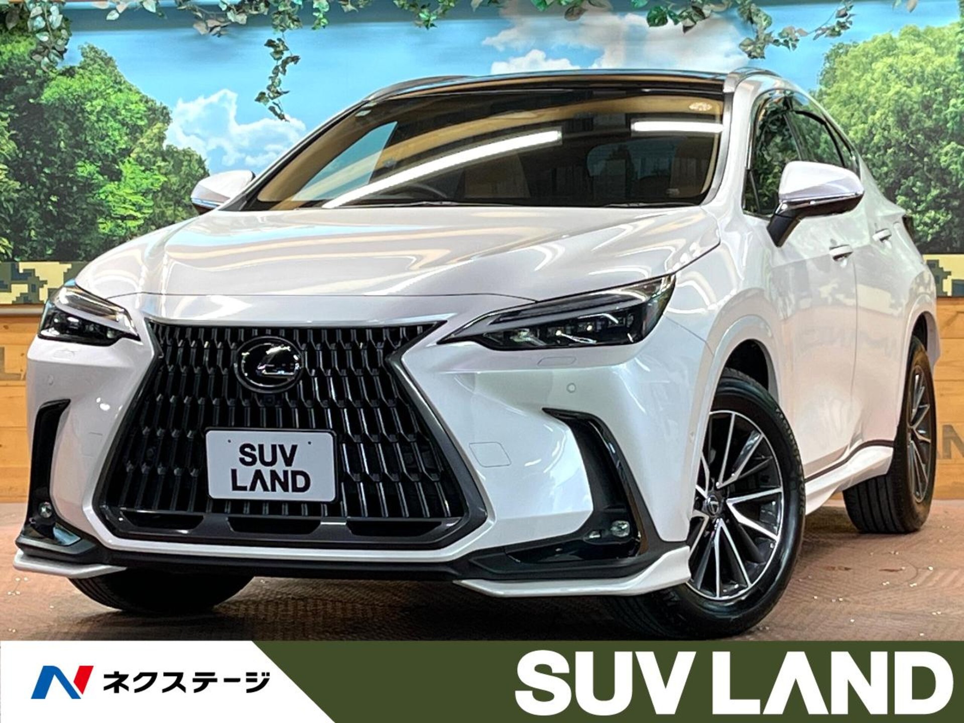 LEXUS NX - View 1