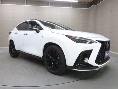 LEXUS NX - 6