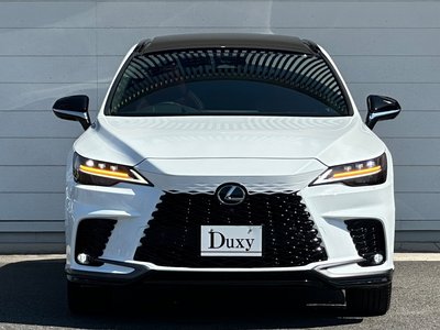 2025 Lexus RX — миниатюра 19