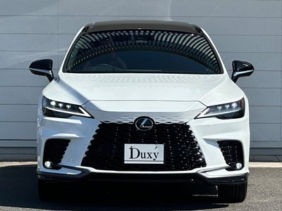 2025 Lexus RX — миниатюра 18