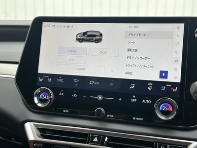 2025 Lexus RX — миниатюра 54