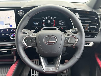 2025 Lexus RX — миниатюра 40