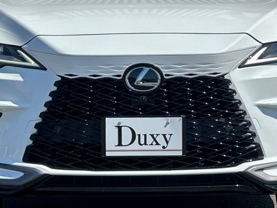 2025 Lexus RX — миниатюра 17