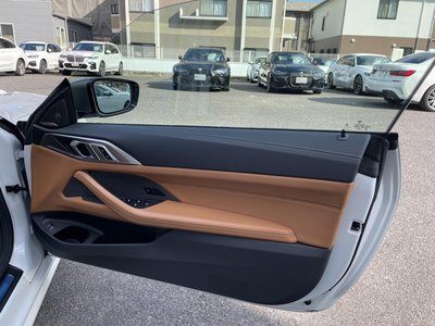 2021 BMW 4 SERIES CABRIOLET 缩略图 50
