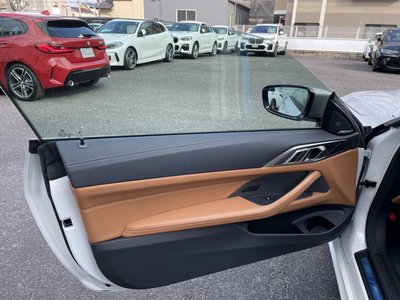 2021 BMW 4 SERIES CABRIOLET 缩略图 51