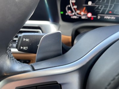 2021 BMW 4 SERIES CABRIOLET 缩略图 42