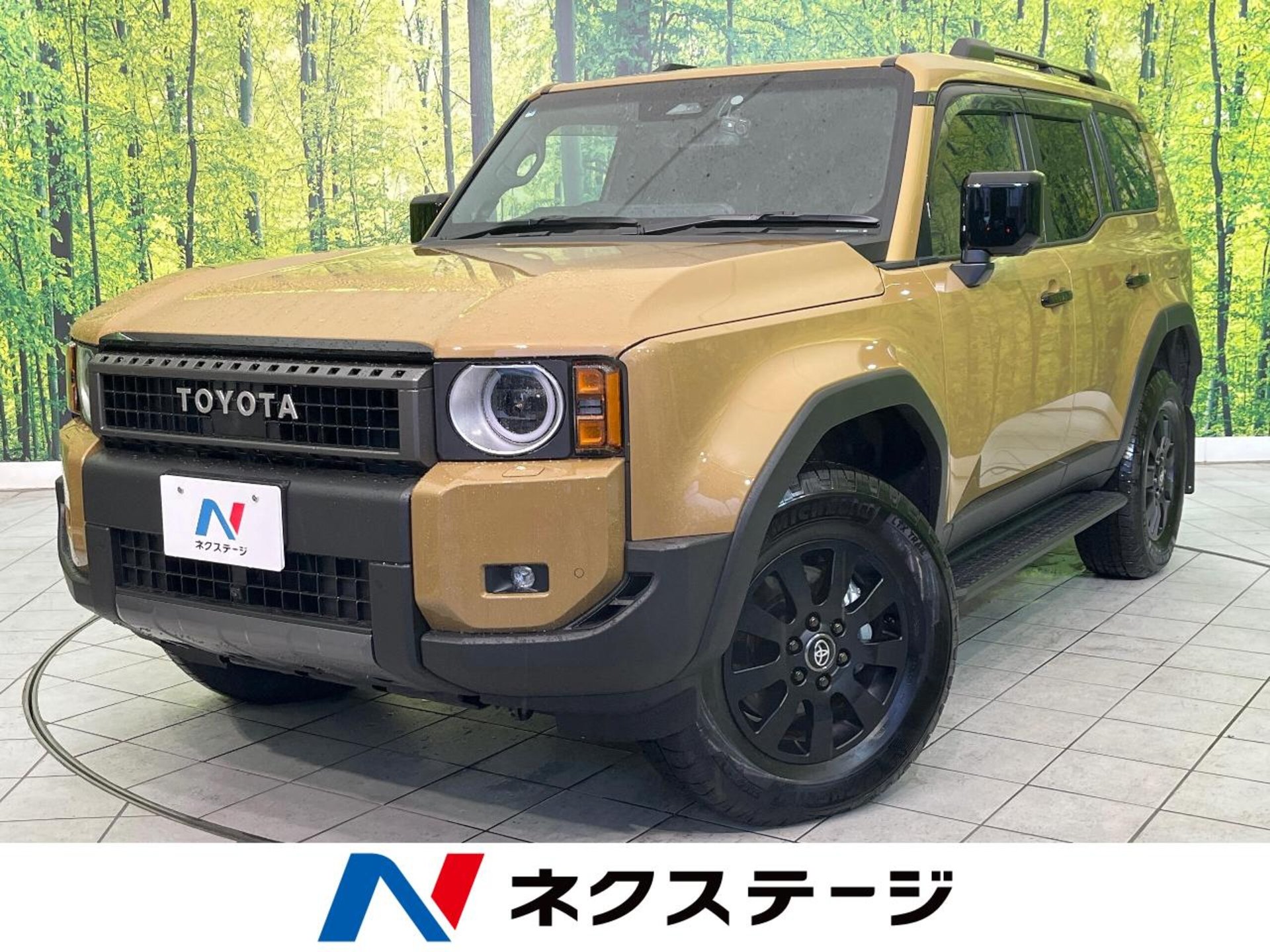 TOYOTA LAND CRUISER 250 - View 1