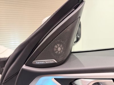2025 BMW 4 SERIES GRAN COUPE — миниатюра 66