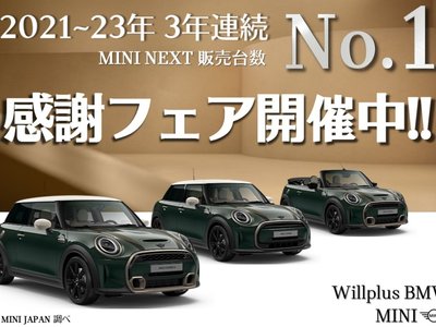 MINI MINI COUNTRYMAN - 2