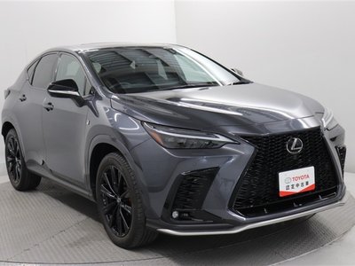 2023 Lexus NX 缩略图 15