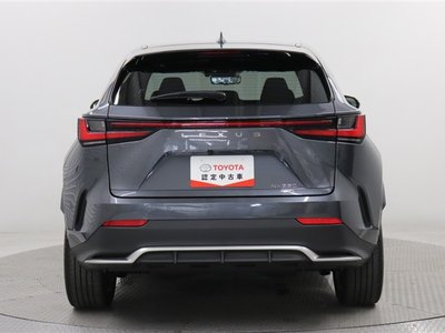 2023 Lexus NX 缩略图 14