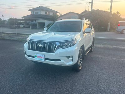 2019 Toyota LAND CRUISER PRADO — фото 3