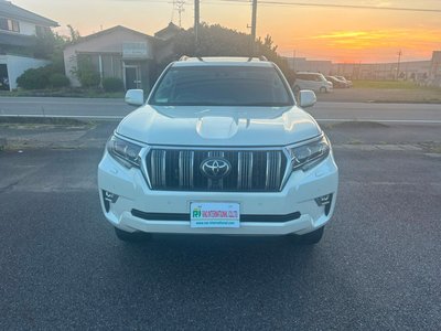 2019 Toyota LAND CRUISER PRADO — фото 2