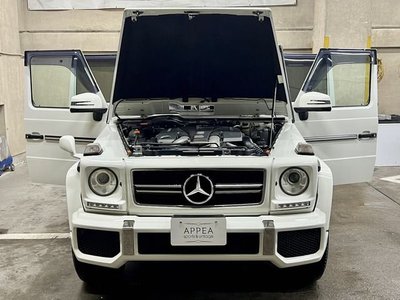 2013 Mercedes-BENZ G-CLASS 缩略图 17