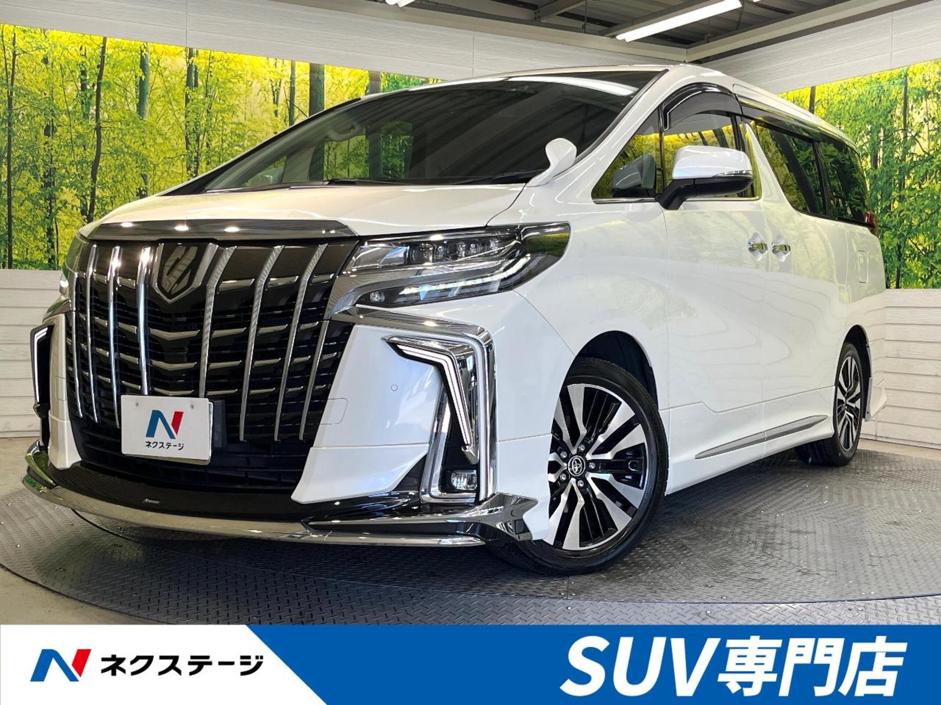 TOYOTA ALPHARD - View 1