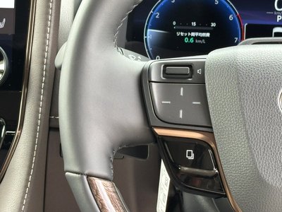 صورة مصغرة 30 لـ 2025 Toyota ALPHARD