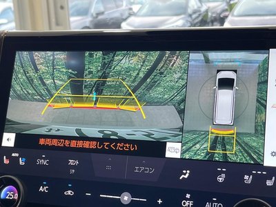 2026 Toyota ALPHARD — миниатюра 23