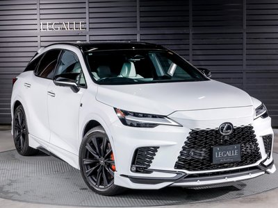 2025 Lexus RX thumbnail 32