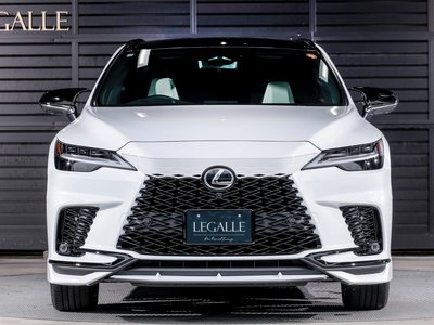 2025 Lexus RX thumbnail 31