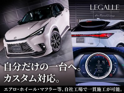2025 Lexus RX thumbnail 77